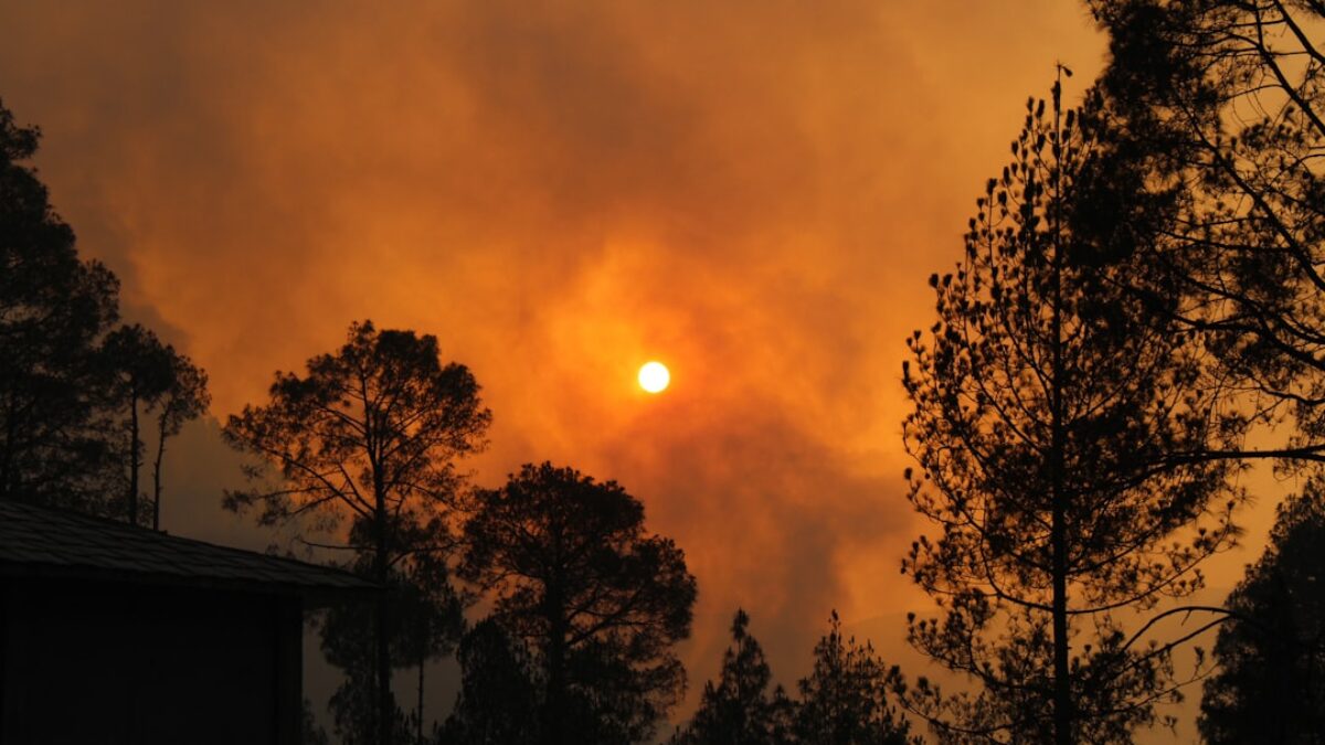 home insurance with wildfire protection USA